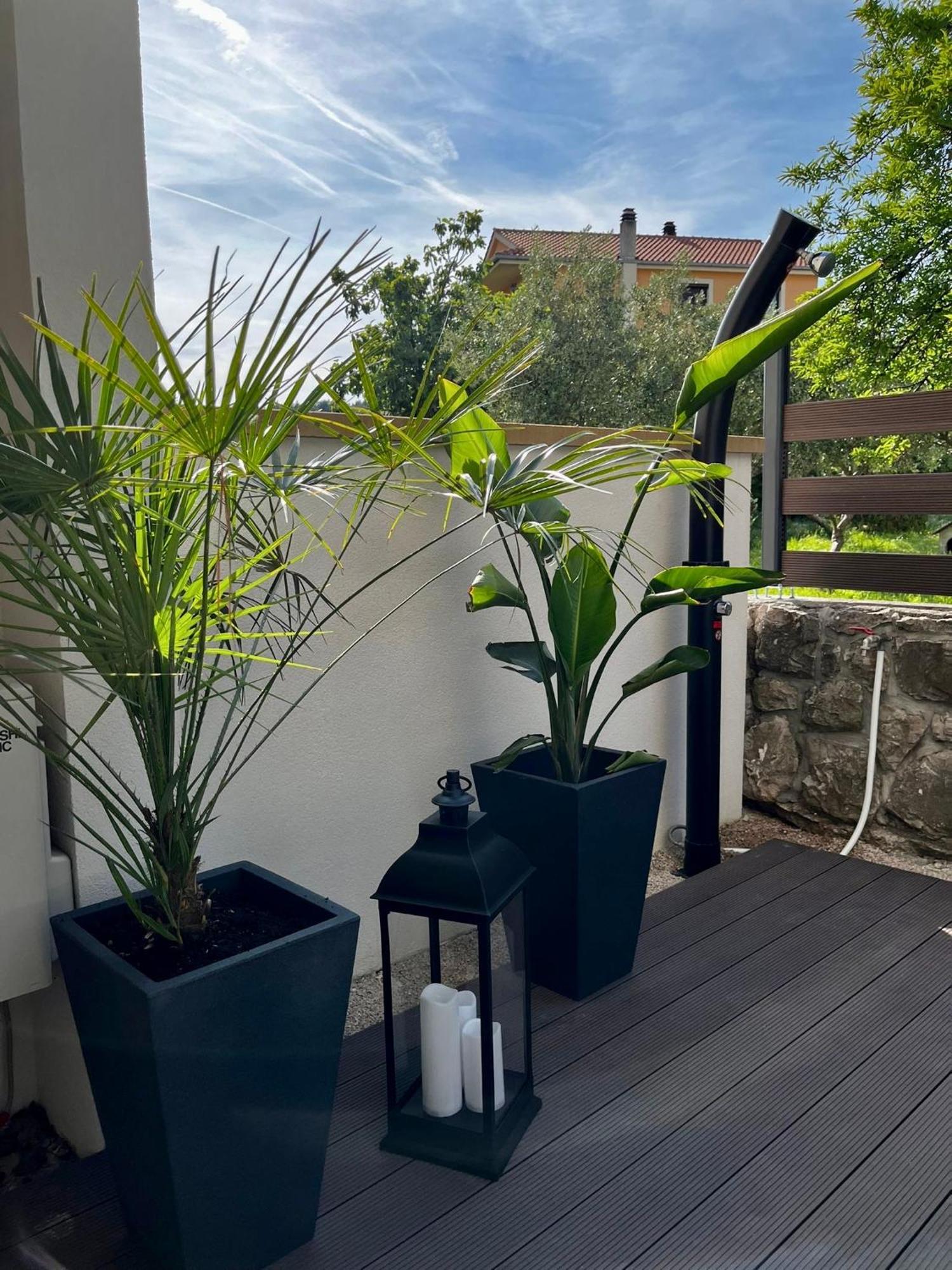 Studio Apartment Rosa Krk 克尔克 外观 照片